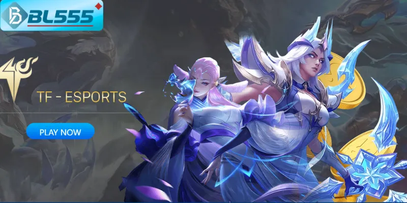 Esports Bl555 – Cá Cược Thể Thao Điện Tử Đỉnh Cao 2025 quản lý vốn Esports BL555 tăng gấp 13 lần